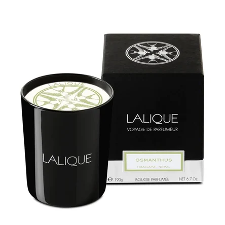 Ароматическая свеча  "Osmanthus, Himalaya"