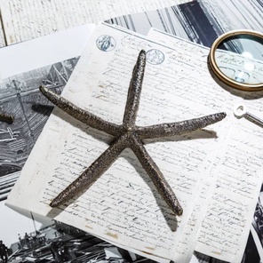 Пресс-папье морская звезда