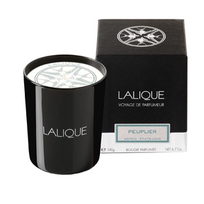 Ароматическая свеча  "Peuplier, Aspen"