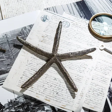 Пресс-папье морская звезда