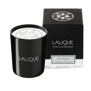 Ароматическая свеча  "Peuplier, Aspen"