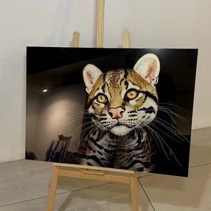 Картина "Кошка"